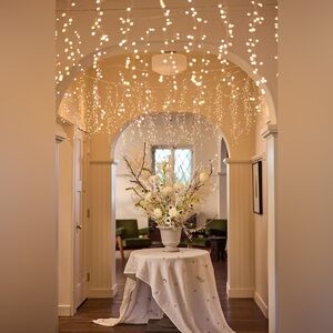 Anthropologie Stargazer Twinkling Icicle Light Strand NIB 15 Ft Glittering